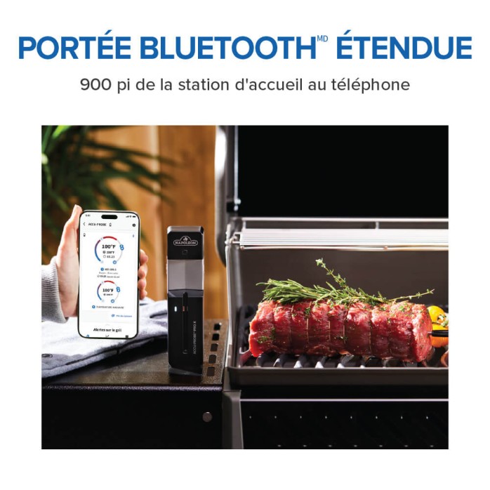 Accu-Probe PRO X wireless thermometer