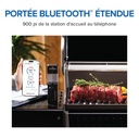 Accu-Probe PRO X wireless thermometer